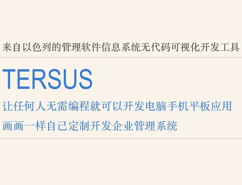 畫畫一樣開發(fā)軟件 Tersus讓任何人可以無代碼開發(fā)手機(jī)電腦軟件