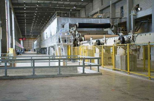 了解到內(nèi)地紙張市場(chǎng)的巨大潛力,她成立公司,成就紙業(yè)王國(guó)